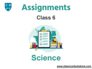 class assignment science