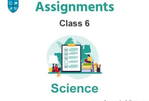 Class 6 Science Assignments