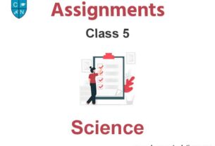 Class 5 Science Assignments