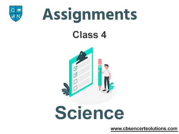 class 6 science assignment pdf