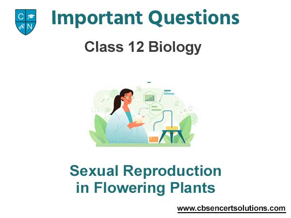Sexual Reproduction in Flowering Plants Class 12 Biology Important Questions