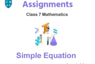 Class 7 Mathematics Simple Equation Assignments
