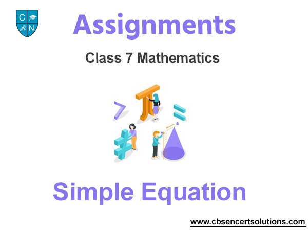 Class 7 Mathematics Simple Equation Assignments