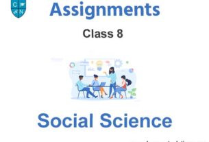 Class 8 Social Science Civics Assignments