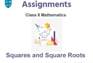Class 8 Mathematics Squares and Square Roots Assignments