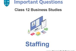 Case Study Chapter 6 Staffing