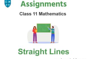 Class 11 Mathematics Straight Lines Assignments