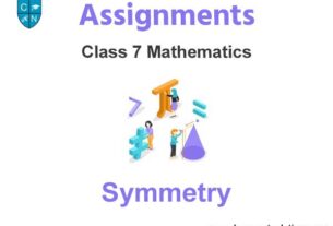 Class 7 Mathematics Symmetry Assignments