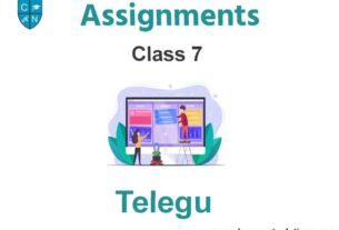 Class 7 Telegu Assignments