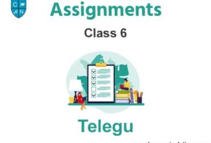 Class 6 Telegu Assignments