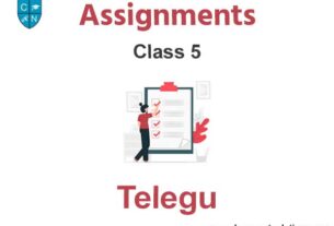 Class 5 Telegu Assignments