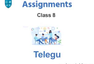 Class 8 Telegu Assignments