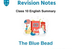 The Blue Bead Summary by Norah Burke