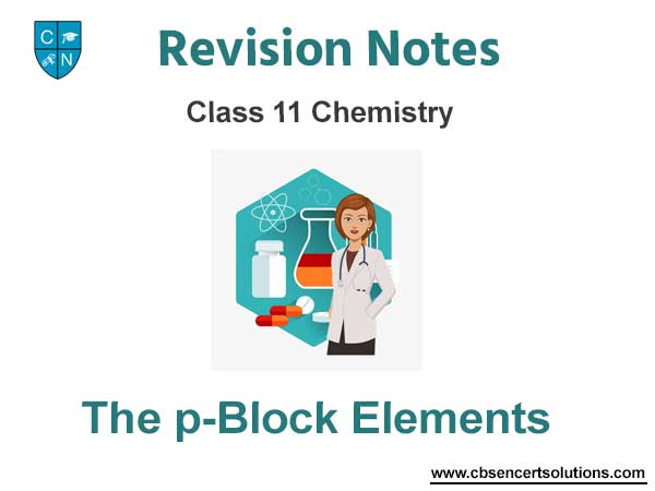 The p Block Elements Class 11 Chemistry Notes and Questions