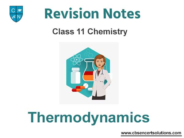 Thermodynamics Class 11 Chemistry Notes and Questions