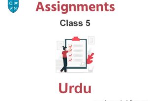 Class 5 Urdu Assignments