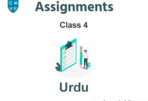 Class 4 Urdu Assignments