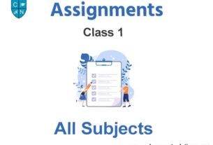 Class 1 Assignments
