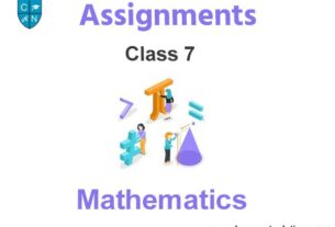 Class 7 Mathematics Assignments