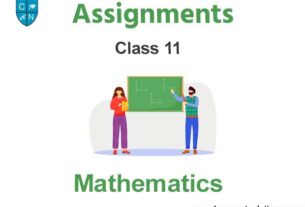 Class 11 Mathematics Assignments