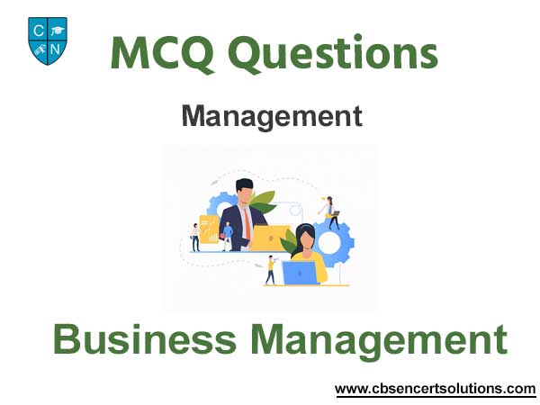 the business plan should be prepared by mcq