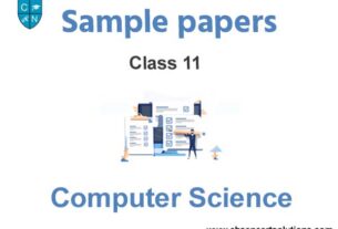 Sample Paper Class 11 Computer Science