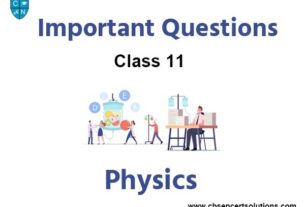 Important Questions for Class 11 Physics with Answers