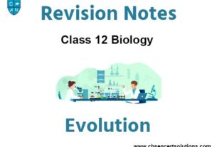 Evolution Class 12 Biology