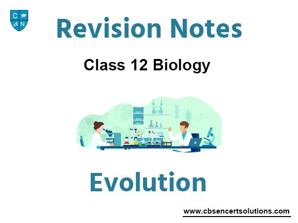 Evolution Class 12 Biology