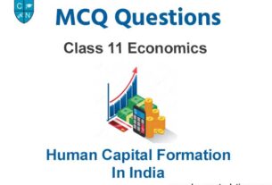 MCQ Class 11 Economics Chapter 5 Human Capital Formation In India
