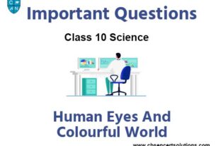 Human Eyes and Colourful World Class 10 Science Important Questions