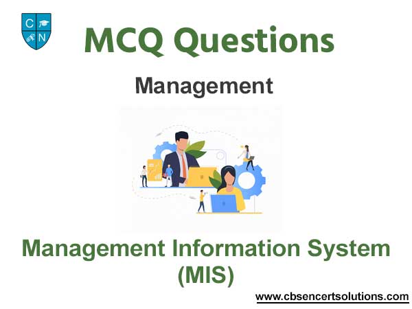 Management Information System MCQ Questions with Answers