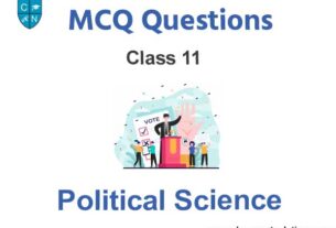 mcq questions for class 11 political science