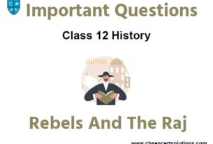Rebels and The Raj Class 12 History Important Questions