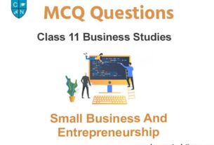 MCQ Questions For Class 11 Business Studies Chapter 9 Small Business and Entrepreneurship