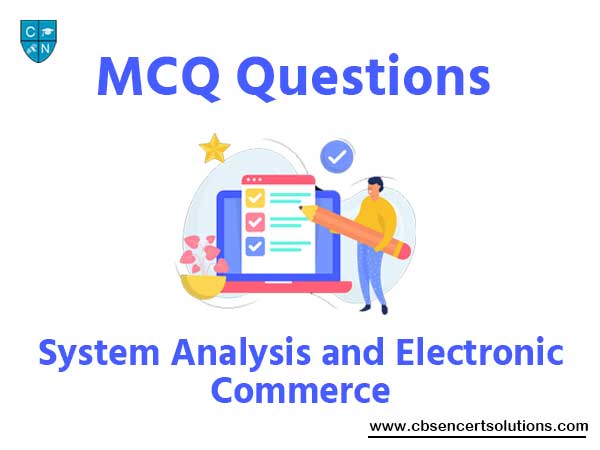 System Analysis and Electronic Commerce MCQ Questions