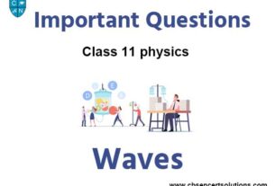 Waves Class 11 Physics Important Questions