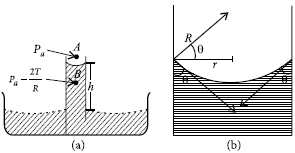 Mechanical Properties of Fluids Class 11 Physics Important Questions