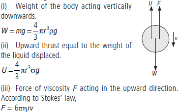 Mechanical Properties of Fluids Class 11 Physics Important Questions