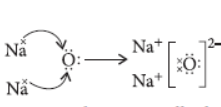 Metals and Non Metals Class 10 Science Important Questions