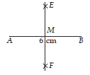 Constructions Class 9 Mathematics Important Questions