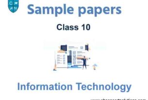 Class 10 Information Technology Sample Paper Term 2 with Solutions Set B