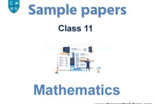 Class 11 Mathematics Sample Paper