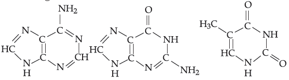 Class 12 Chemistry Sample Paper Term 1 With Solutions Set C