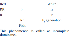 Class 12 VBQs Biology Principles of Inheritance and Variation
