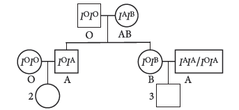 Class 12 VBQs Biology Principles of Inheritance and Variation