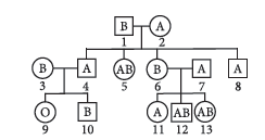 Class 12 VBQs Biology Principles of Inheritance and Variation