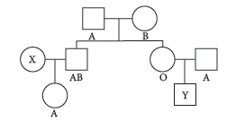 Class 12 VBQs Biology Principles of Inheritance and Variation