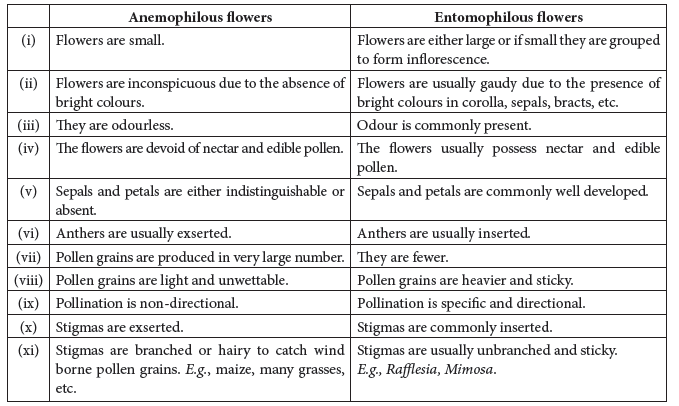 Class 12 VBQs Biology Sexual Reproduction in Flowering Plants