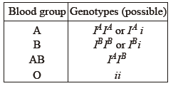 Class 12 VBQs Biology Principles of Inheritance and Variation